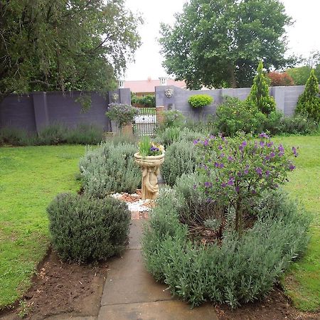 Lilac Lodge-Purple House Winterton Esterno foto